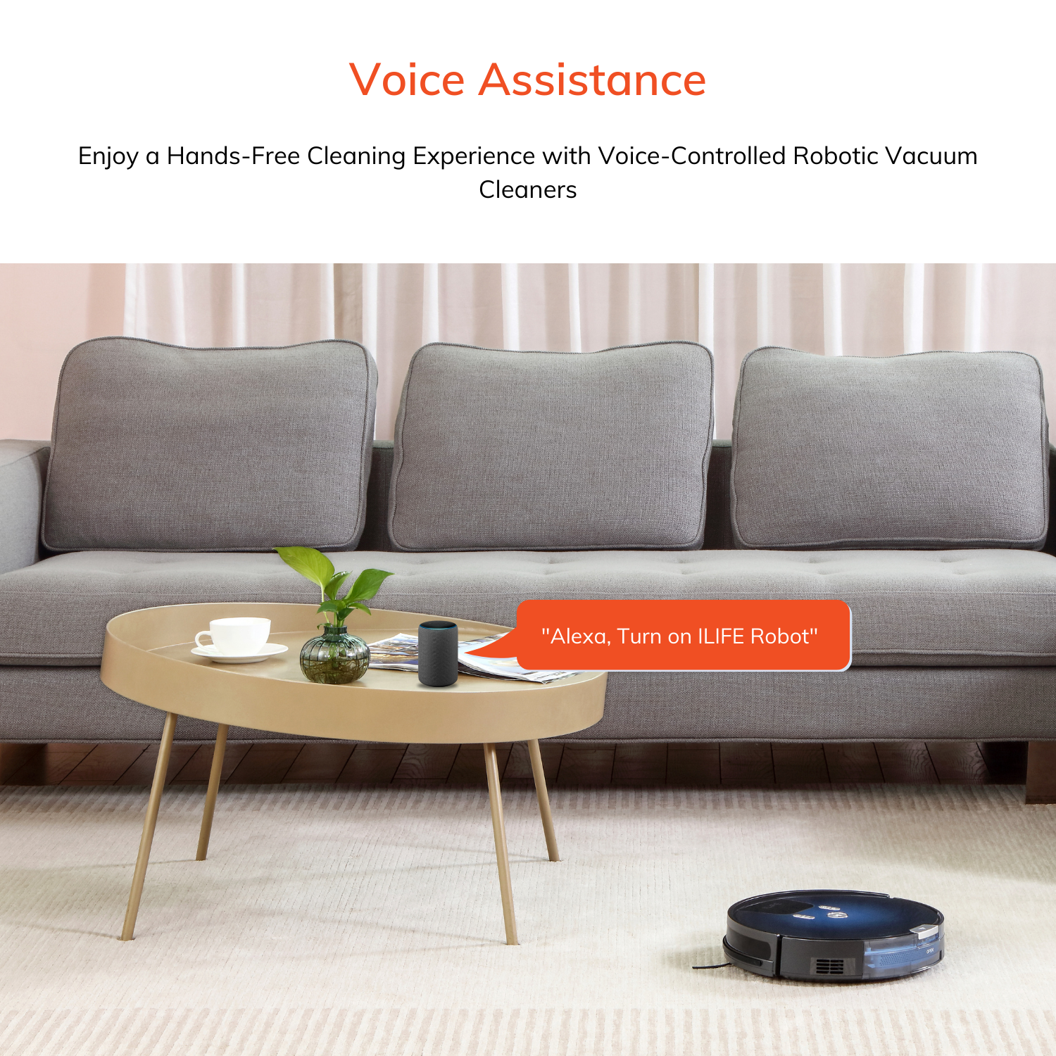 Voice assistance