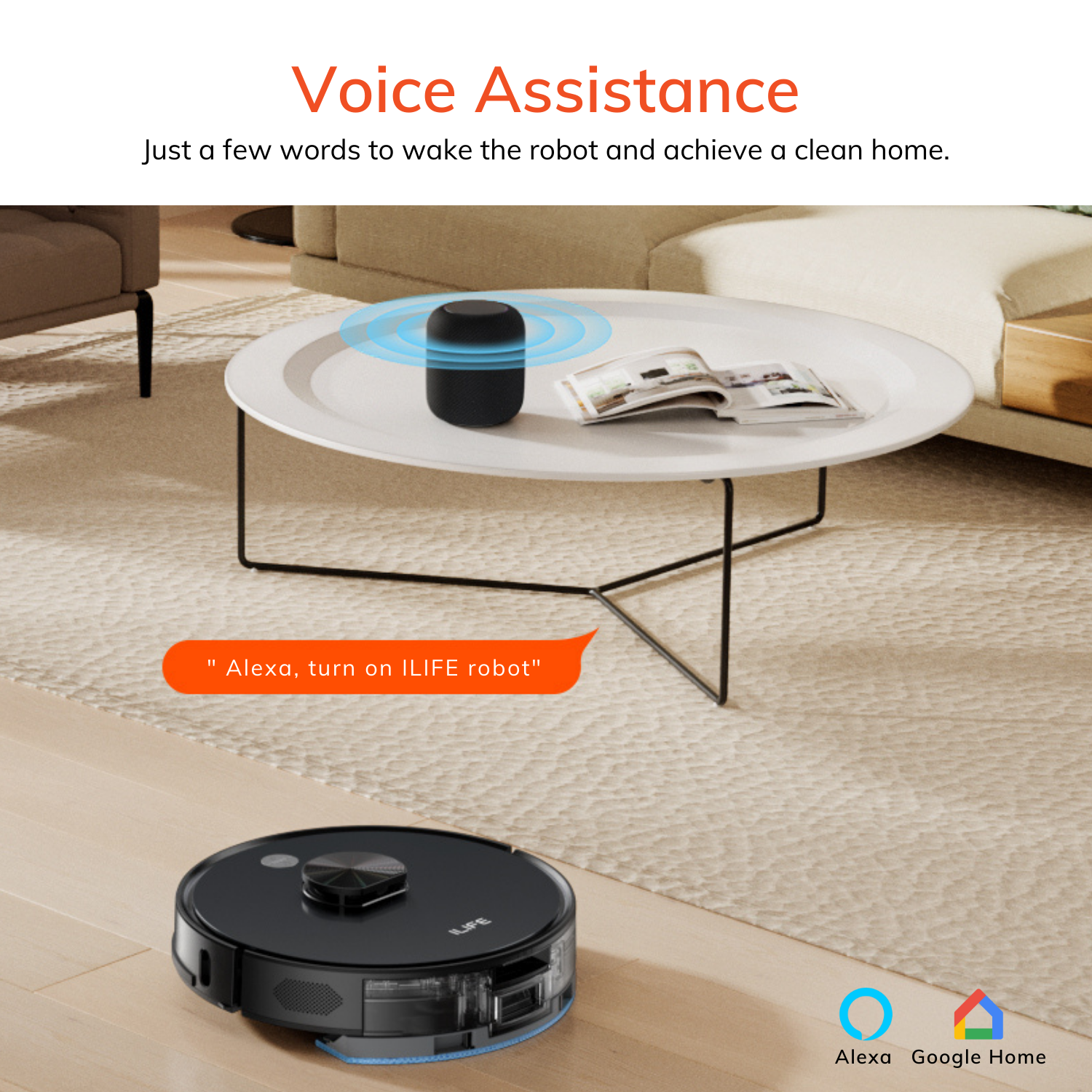 Voice assistance