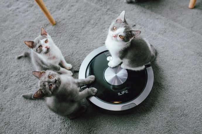 All you need to know about Robot Vacuum Cleaner - Robot Vacuum Guide