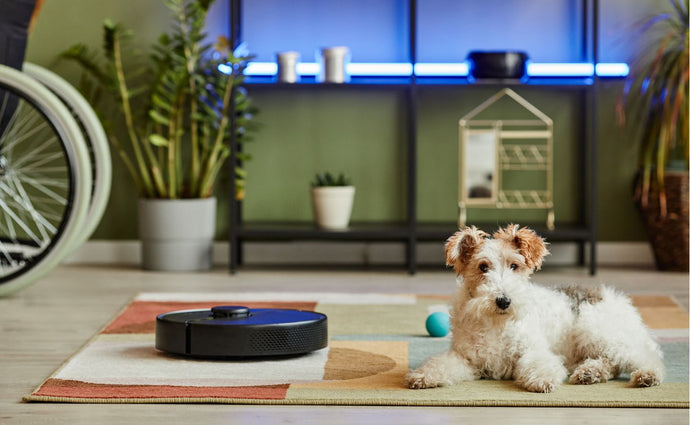 How Robotic Vacuums Transform Pet-Friendly Living and Help to Maintain Fur-free Floors?