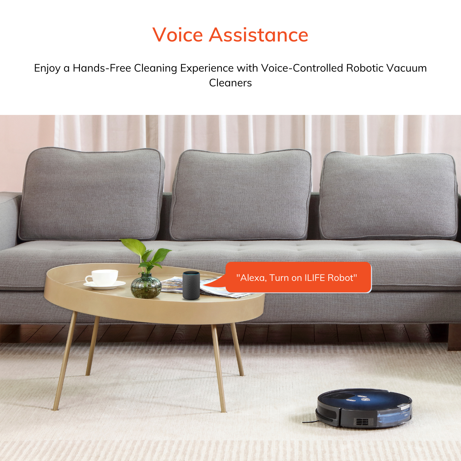 Voice assistance 