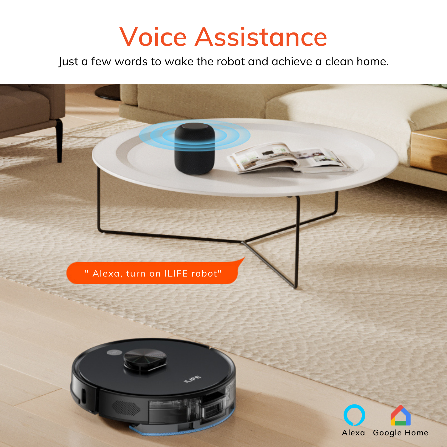 Voice assistance 